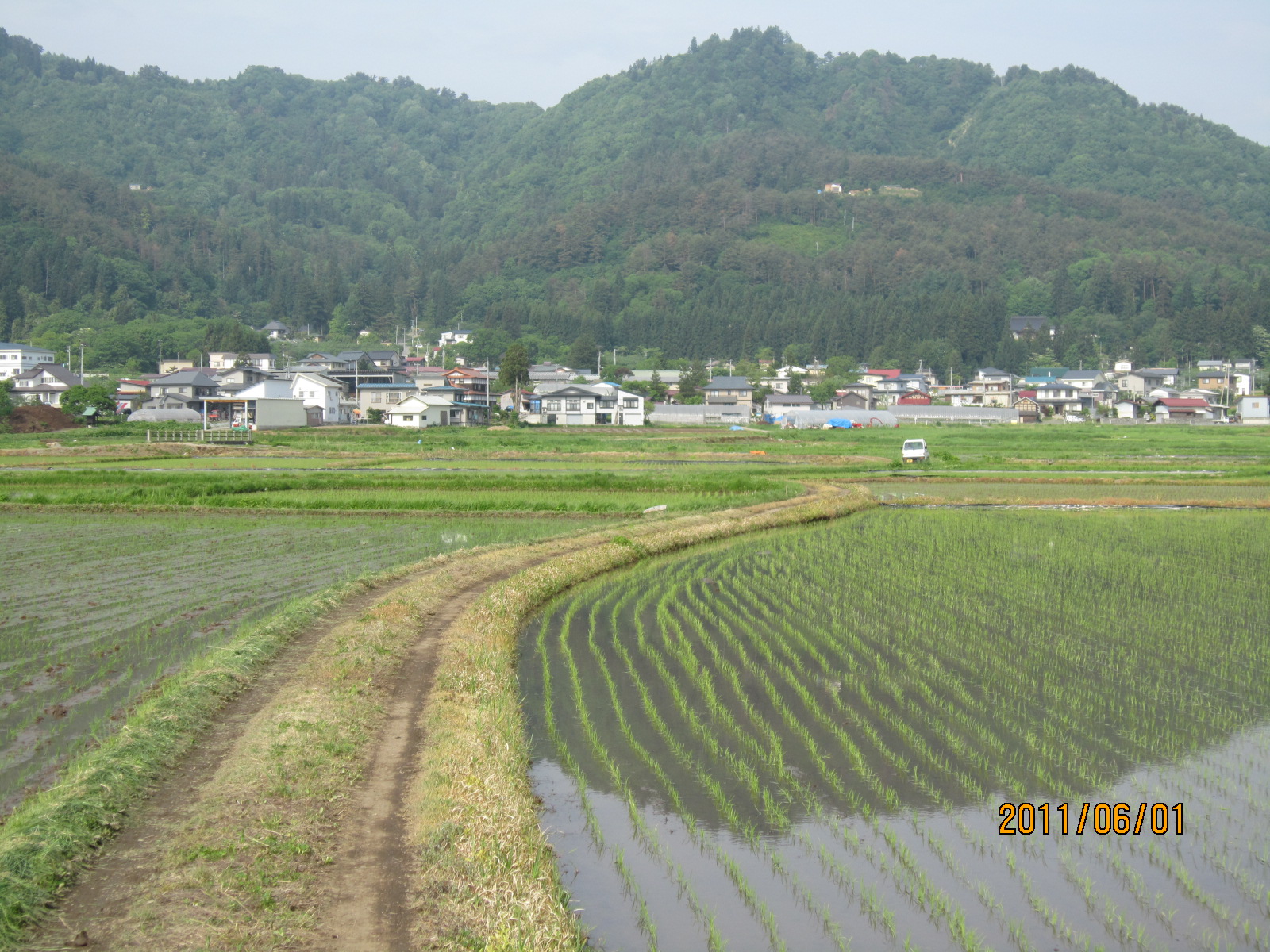 鷹山 ようざん が歩いた田んぼ道で田植え 鷹山の散歩道